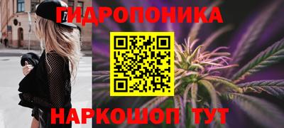 ECSTASY Будённовск