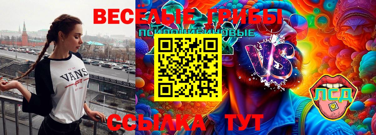 Норильск  Галлюциногенные грибы Cubensis  Вход с VPN  Псилоцибиновые грибы мицелий 