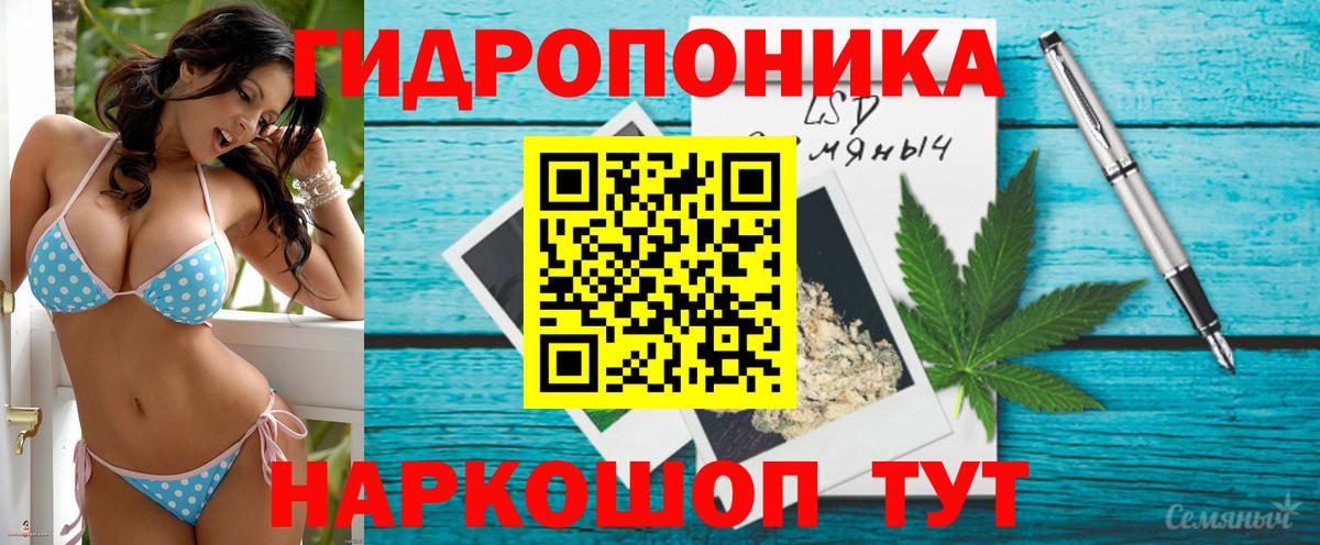 Бошки марихуана VHQ Норильск